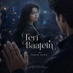 Teri Baatein