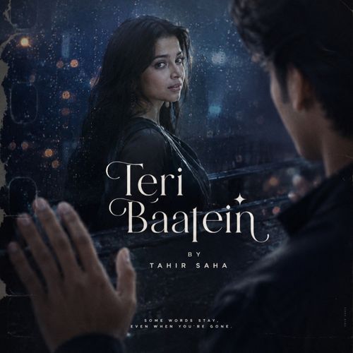 Teri Baatein