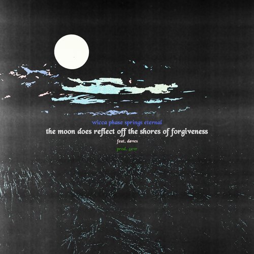 The Moon Does Reflect Off the Shores of Forgiveness cover art