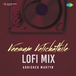 Veesum Velichathile - Lofi Mix