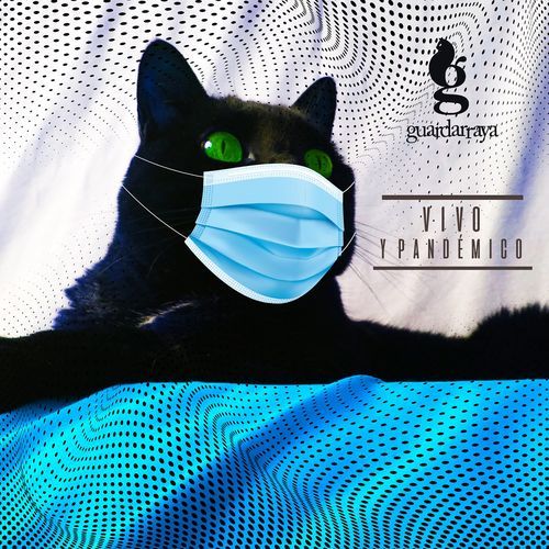 Zumbo (En Vivo) cover art