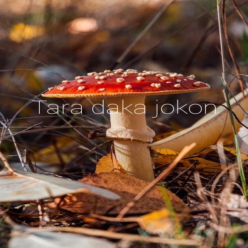 Tara daka jokon