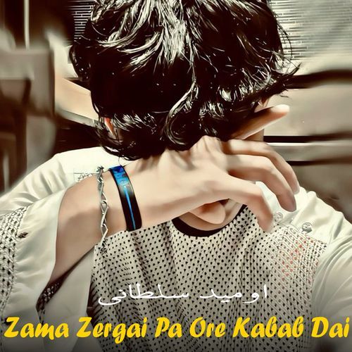 Zama Zergai Pa Ore Kabab Dai