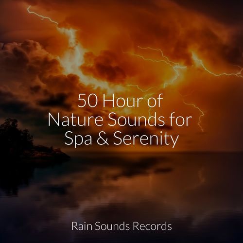 50 Hour of Nature Sounds for Spa & Serenity