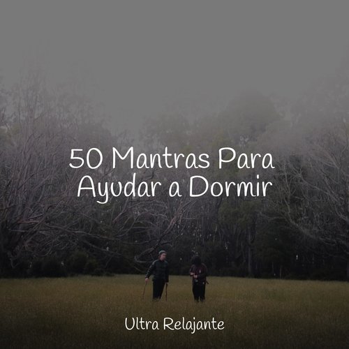 50 Mantras Para Ayudar a Dormir_poster_image