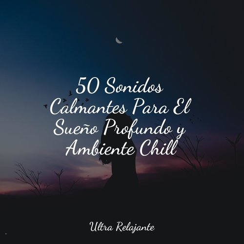 50 Sonidos Calmantes Para El Sueño Profundo y Ambiente Chill