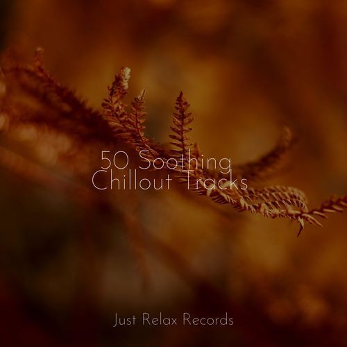 50 Soothing Chillout Tracks