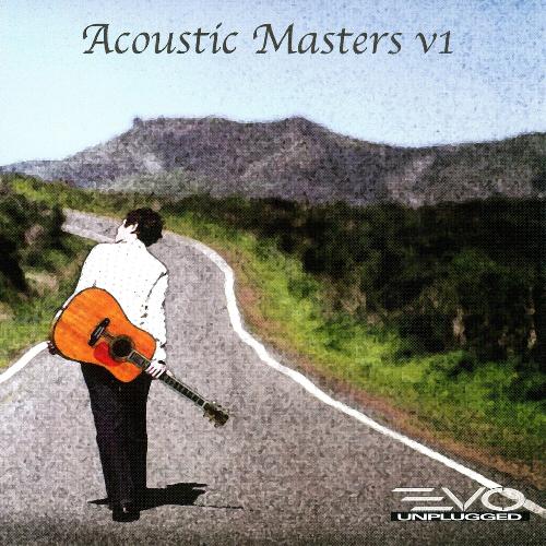 Acoustic Masters, Vol. 1