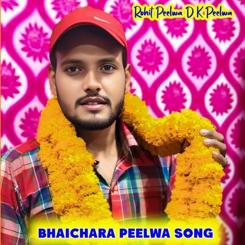 BHAICHARA PEELWA SONG