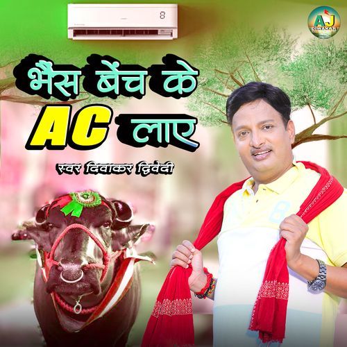 Bhais Bhech K AC Laye