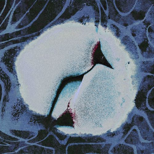 D Vertigo