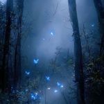 Gangsta (Melodic Drill)