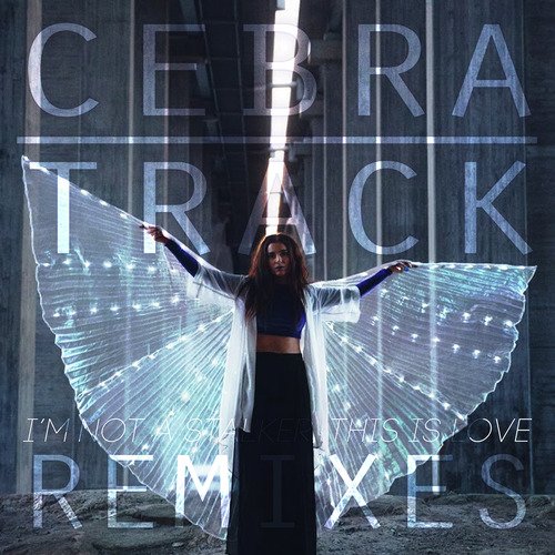 I&#039;m Not a Stalker, This is Love (Remixes)