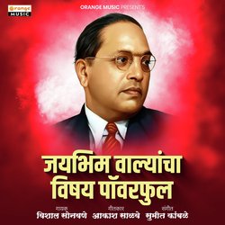 Jaibhim Walyancha Vishay Powerful-MgQEdCJqf2w