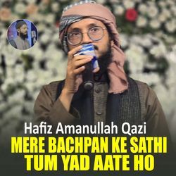 Mere Bachpan Ke Sathi Tum Yad Aate Ho