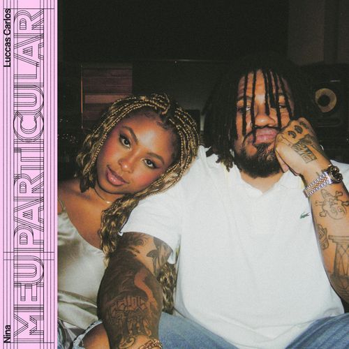 meu particular (remix)