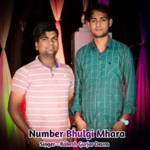 Number Bhulgi Mhara
