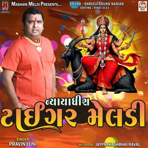 Nyayadhish Tiger Meldi