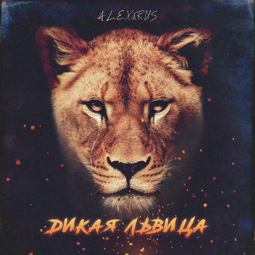 Дикая львица - Song Download from Дикая львица @ JioSaavn