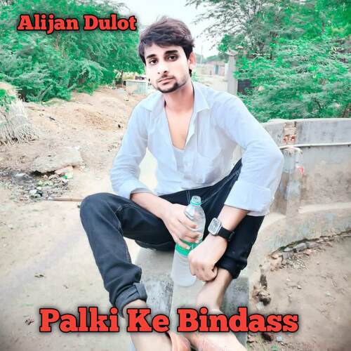 Palki Ke Bindass cover art