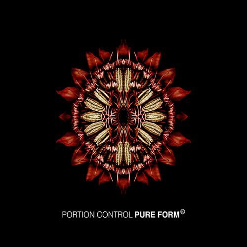 Terex Pure cover art