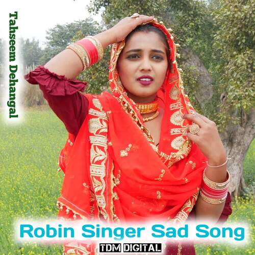 Robin Singer Sad Song