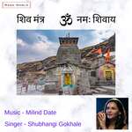 Om Namah Shivay(feat. Milind Date)