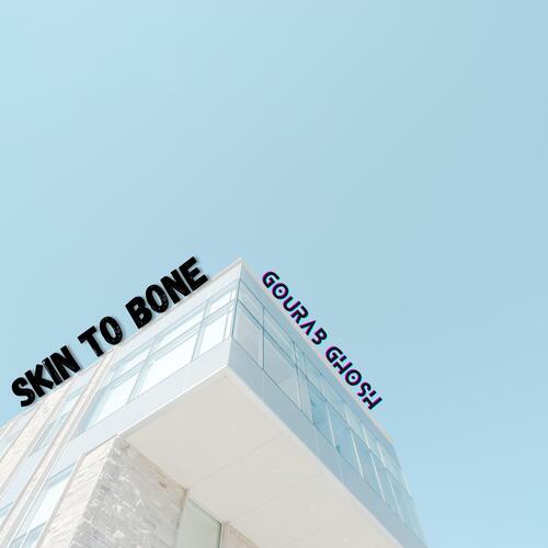Skin To Bone cover art