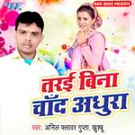 Tarai Bina Chand Adhura