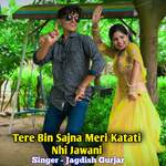 Tere Bin Sajna Meri Katati Nhi Jawani