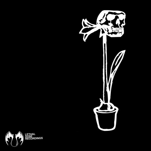 Dignum (Original Mix) cover art