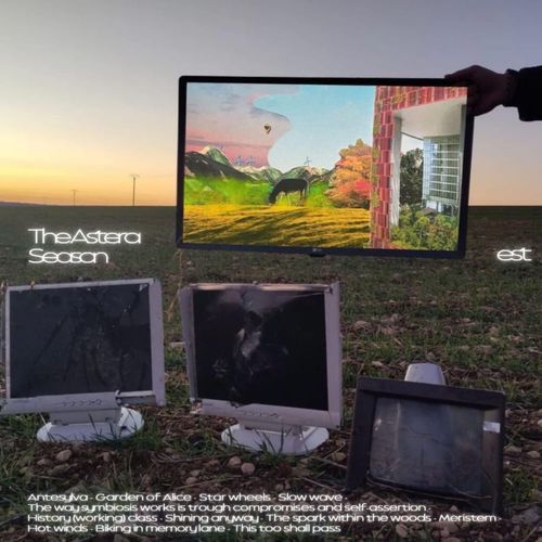 Garden Of Alice cover art