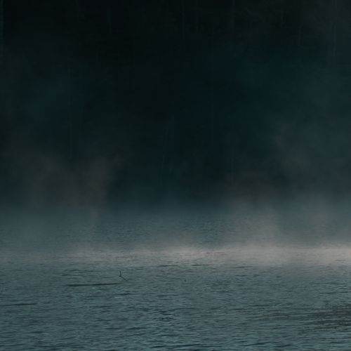 The Disappearance