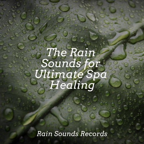 The Rain Sounds for Ultimate Spa Healing