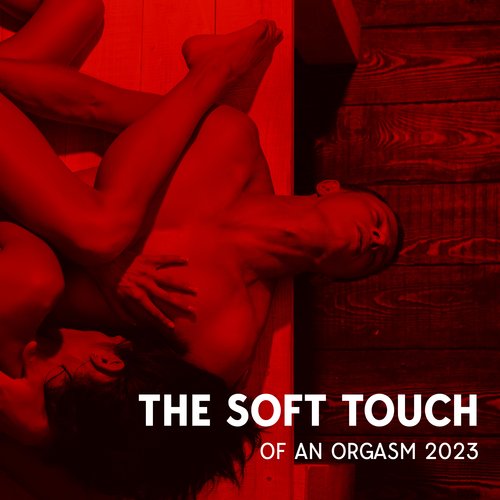 The Soft Touch Of An Orgasm 2023_poster_image