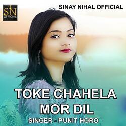 Toke Chahela Mor Dil ( Devotional Song )-Mg5cQExHWUU