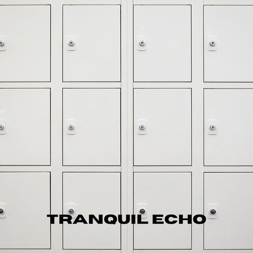 Tranquil Echo_poster_image