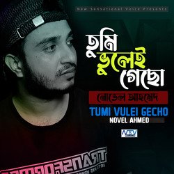 Tumi Vulei Gecho (তুমি ভুলেই গেছো)-EzgRZEZ-Yl0