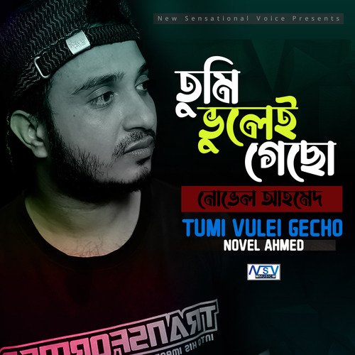 Tumi Vulei Gecho (তুমি ভুলেই গেছো)