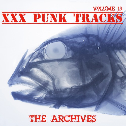 XXX Punk Tracks: The Archives, Vol. 13