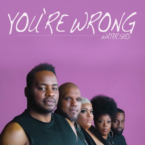 You&#039;re Wrong_poster_image