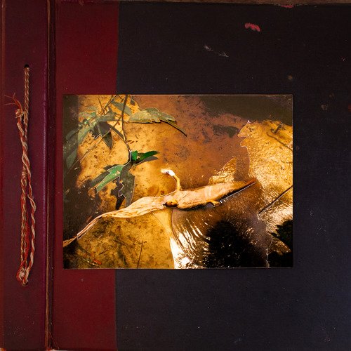 Véia Louca dos Gato cover art