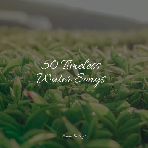 50 Timeless Water Songs_poster_image