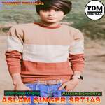 Aslam Singer Sr7149