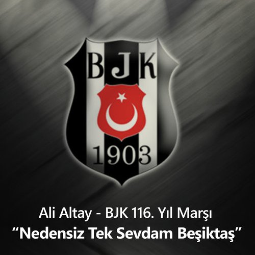 Ali Altay