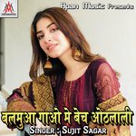 Aam Ke Achar Jaise Chatal Karab