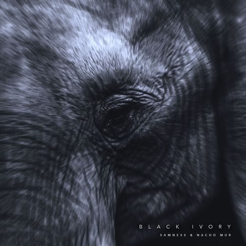 Black Ivory cover art