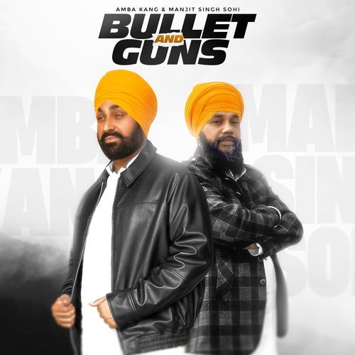 Bullet and Guns