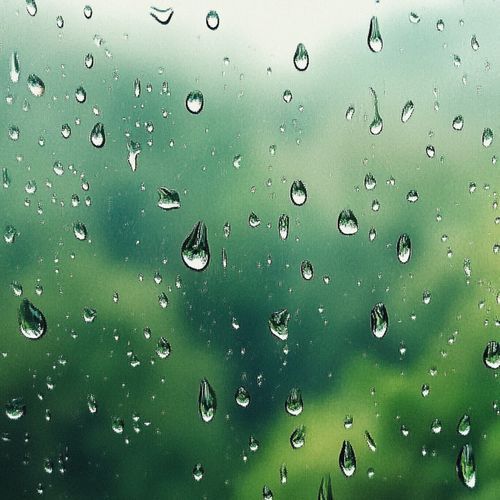 Des Cordes en Harmonie (Rain)