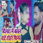 Dilwa Me Basal Bate Tohre Nam